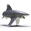 3ds oceanic whitetip shark pose