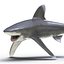 3ds oceanic whitetip shark pose