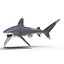 3ds oceanic whitetip shark pose