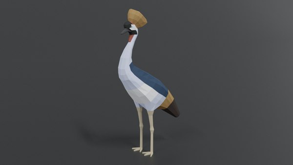 Grey crowned crane bird model - TurboSquid 1596776