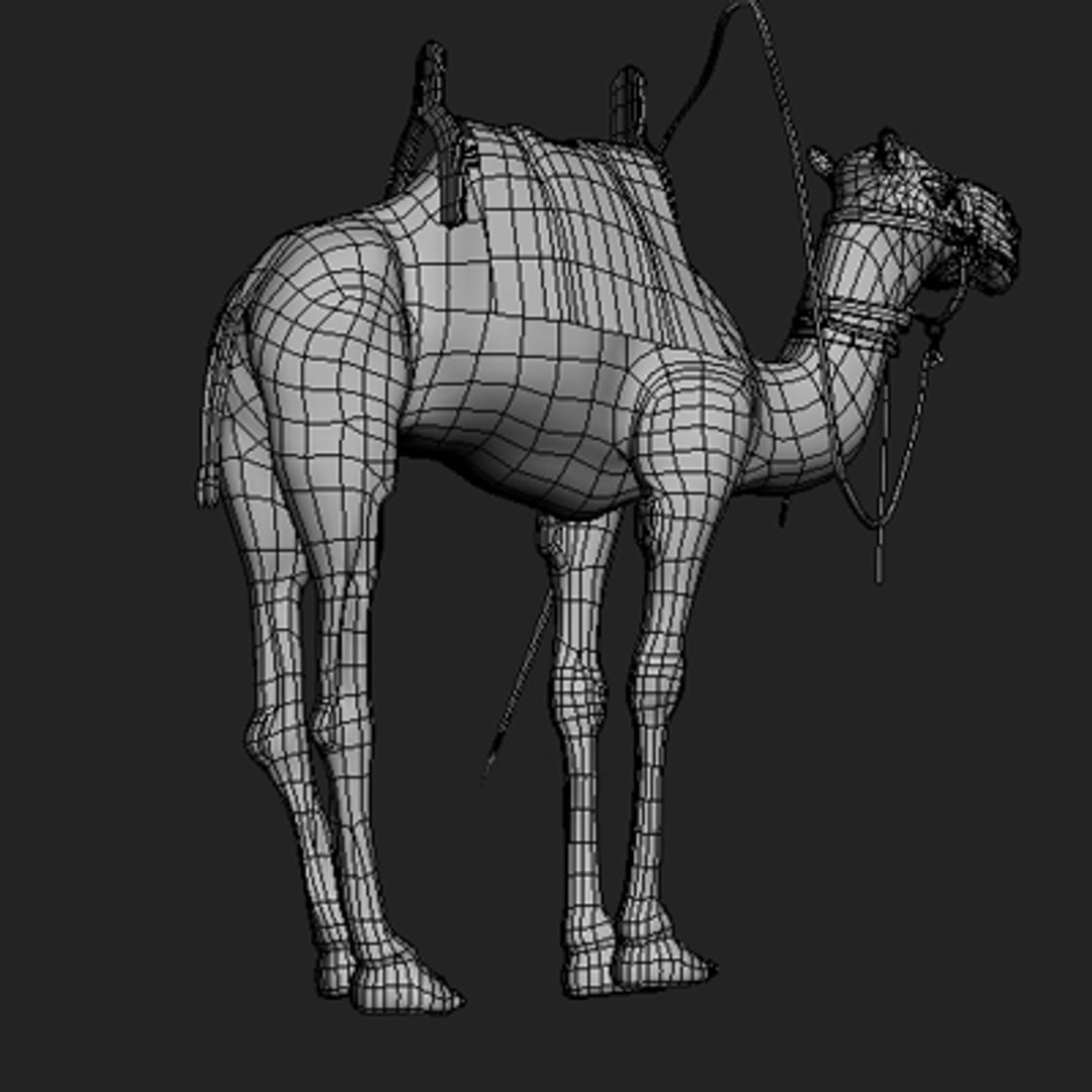 3d camel https://p.turbosquid.com/ts-thumb/Ps/hmnFag/ggWq2uSj/camel_5/jpg/1276268739/1920x1080/fit_q87/4303e95a05ad0289757ba77de020075d4da3c5b6/camel_5.jpg