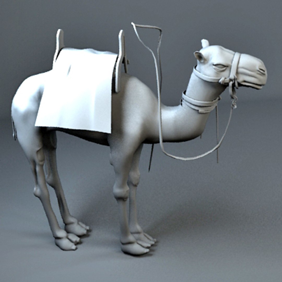 3d camel https://p.turbosquid.com/ts-thumb/Ps/hmnFag/xdWh5WxI/camel_4/jpg/1276268739/1920x1080/fit_q87/67e9ff2395ad9caa458274b27644c10330608f13/camel_4.jpg