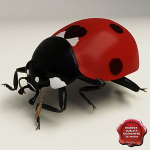 c4d ladybug pose4