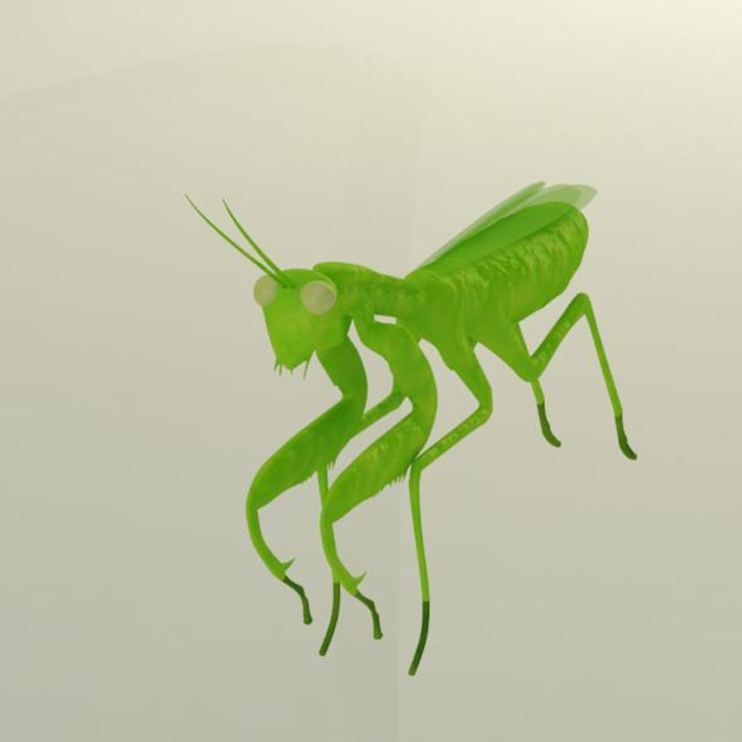 3d Mantis