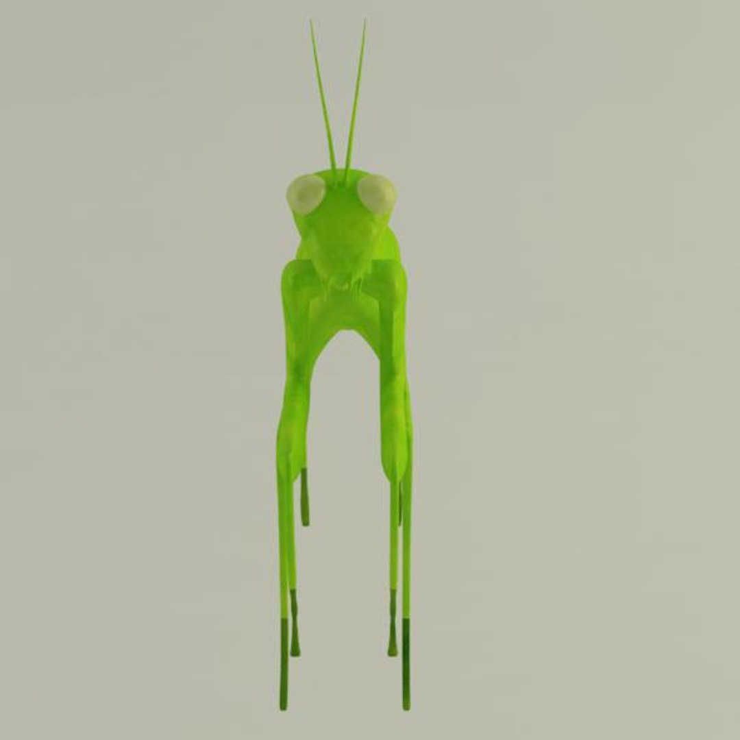 3d Mantis