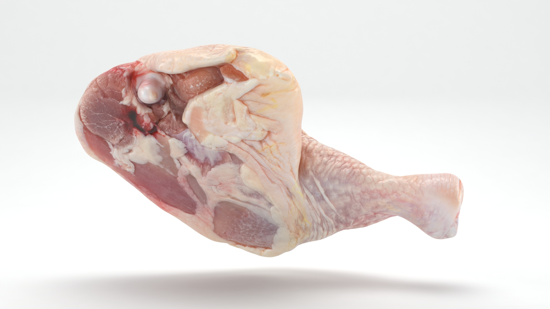 3D Fresh Raw Chicken Thigh v1 https://p.turbosquid.com/ts-thumb/Ps/wqIOf5/98/chickenthighv1t2/jpg/1685200331/1920x1080/turn_fit_q99/2ed20a671f363034d755636852199491e730c4ec/chickenthighv1t2-1.jpg