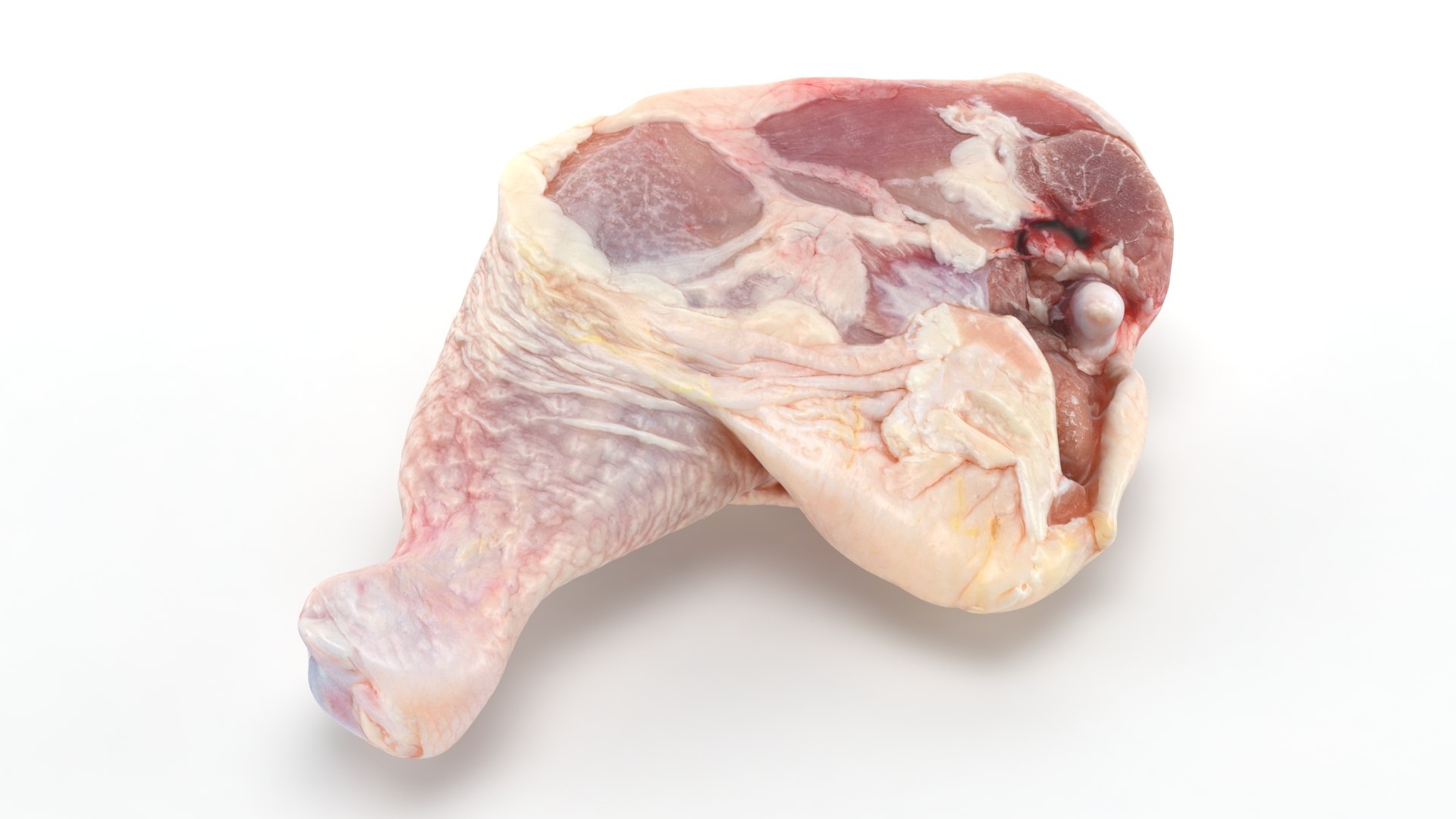 3D Fresh Raw Chicken Thigh v1 https://p.turbosquid.com/ts-thumb/Ps/wqIOf5/L5/chickenthighv1_b0023/jpg/1685200310/1920x1080/fit_q87/50b748ad903f475cfcf7cc8f5fd02a3e8c854254/chickenthighv1_b0023.jpg
