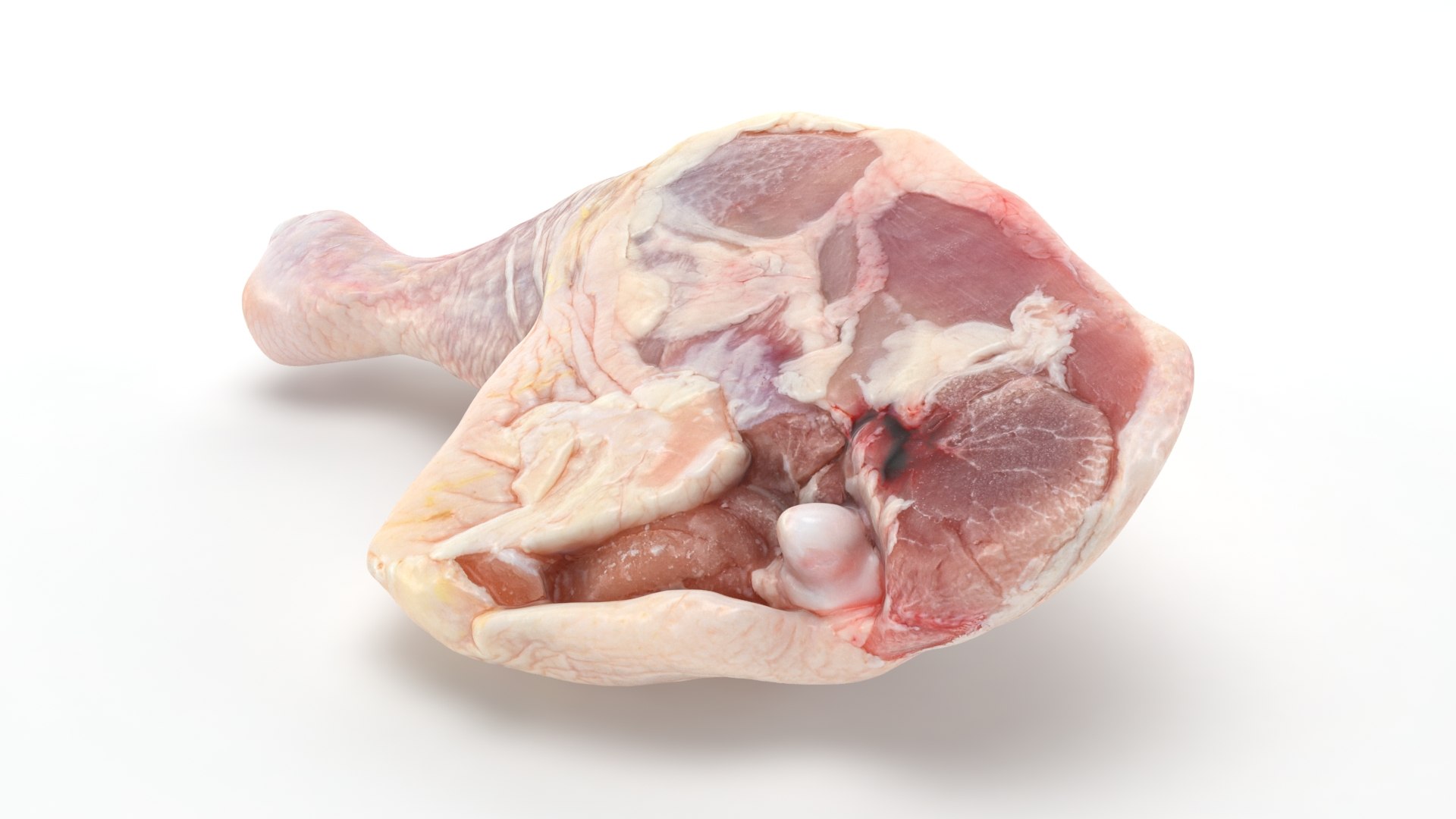 3D Fresh Raw Chicken Thigh v1 https://p.turbosquid.com/ts-thumb/Ps/wqIOf5/jD/chickenthighv1_b0024/jpg/1685200311/1920x1080/fit_q87/c99b98a1c08bf59e79091b9513bde2d12e6d10aa/chickenthighv1_b0024.jpg
