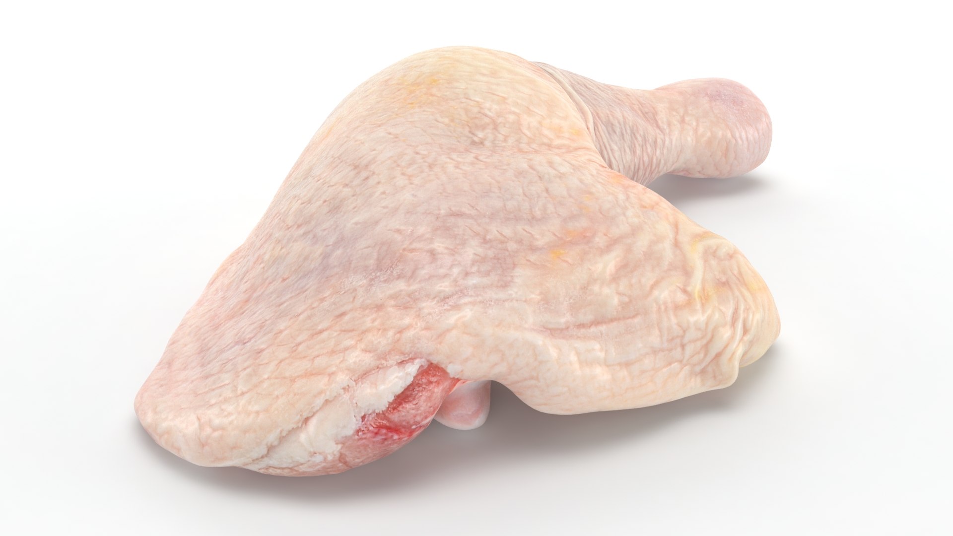 3D Fresh Raw Chicken Thigh v1 https://p.turbosquid.com/ts-thumb/Ps/wqIOf5/kr/chickenthighv1_b0010/jpg/1685200304/1920x1080/fit_q87/cce504aedd32b6fca512e728cb84da2a3ee0b6d4/chickenthighv1_b0010.jpg