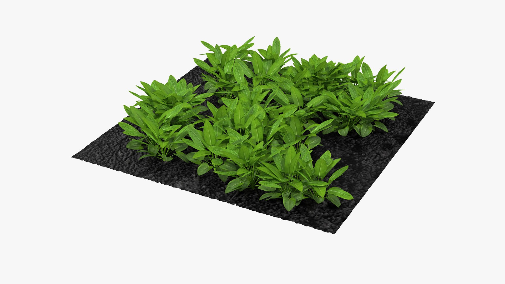 3D Garden Greenhouse with Grows Collection 4 model https://p.turbosquid.com/ts-thumb/Ps/xiWCaK/1M/gardengreenhousewithgrowscollection43dsmodel060/jpg/1677732346/1920x1080/fit_q87/c4e327bb185b5eafbae2c4e44543638a2151398f/gardengreenhousewithgrowscollection43dsmodel060.jpg
