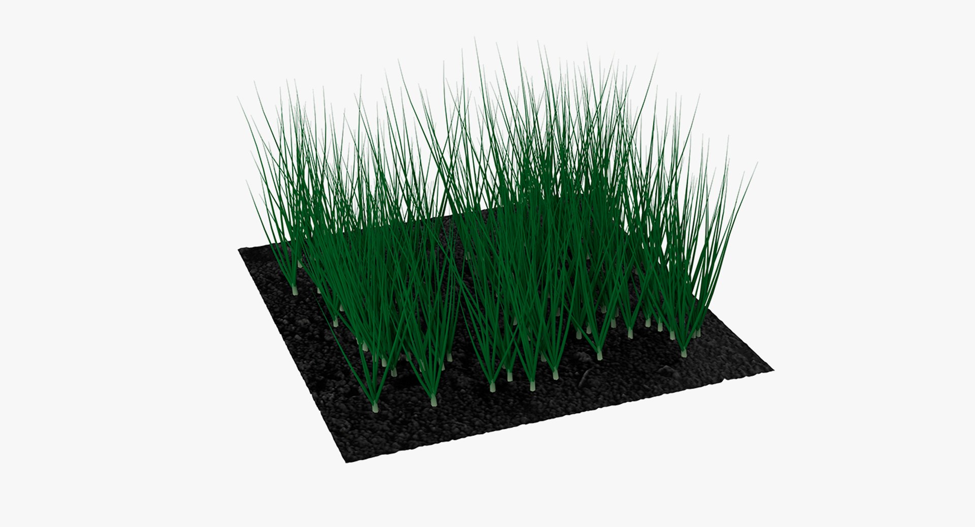 3D Garden Greenhouse with Grows Collection 4 model https://p.turbosquid.com/ts-thumb/Ps/xiWCaK/2w/gardengreenhousewithgrowscollection43dsmodel031/jpg/1677732254/1920x1080/fit_q87/027d41da6ceed479c46bebca5b5411be13b98b18/gardengreenhousewithgrowscollection43dsmodel031.jpg
