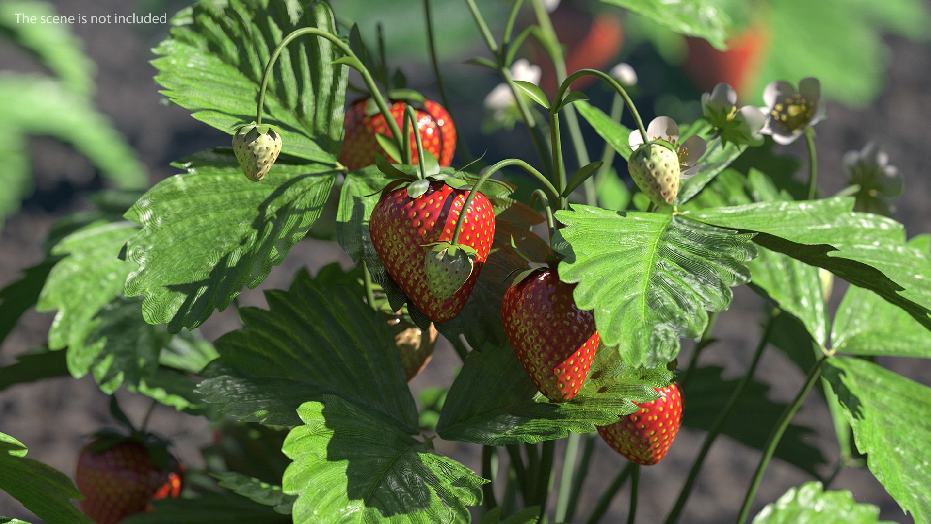 3D Garden Greenhouse with Grows Collection 4 model https://p.turbosquid.com/ts-thumb/Ps/xiWCaK/47/gardengreenhousewithgrowscollection43dsmodel006/jpg/1677732179/1920x1080/fit_q87/882f0b958d1f18a0e77f5cb70940dbe8c4f367c0/gardengreenhousewithgrowscollection43dsmodel006.jpg
