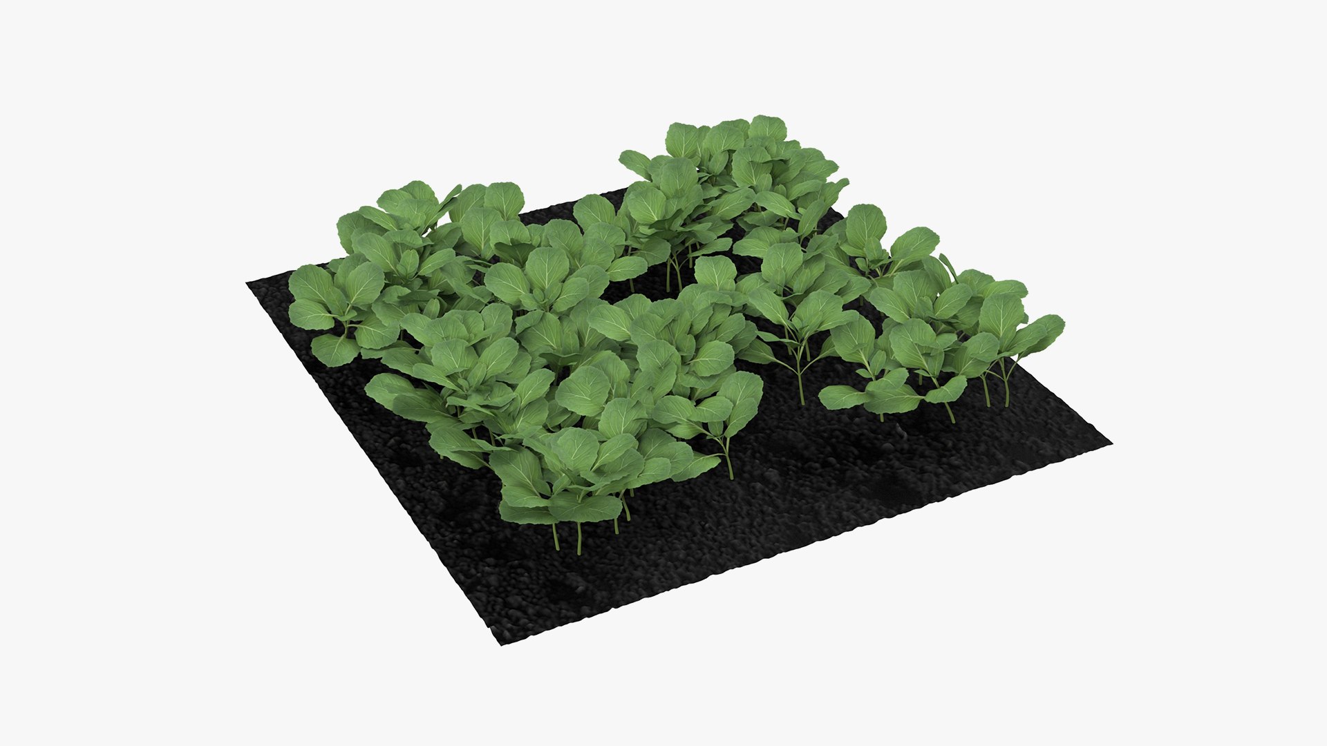 3D Garden Greenhouse with Grows Collection 4 model https://p.turbosquid.com/ts-thumb/Ps/xiWCaK/4H/gardengreenhousewithgrowscollection43dsmodel063/jpg/1677732355/1920x1080/fit_q87/be4dd58a0fa923ac02ce5cd20be9e19d51d63e3b/gardengreenhousewithgrowscollection43dsmodel063.jpg