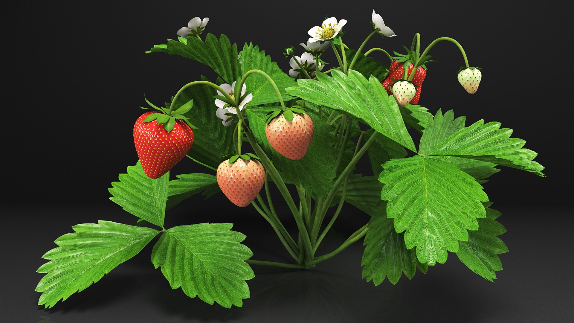 3D Garden Greenhouse with Grows Collection 4 model https://p.turbosquid.com/ts-thumb/Ps/xiWCaK/4I/gardengreenhousewithgrowscollection43dsmodel009/jpg/1677732188/1920x1080/fit_q87/abacfe196cc75b89d95a04a9aa9cdd9e1259365c/gardengreenhousewithgrowscollection43dsmodel009.jpg