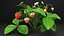 Estufa de jardim com coleção Grows 4