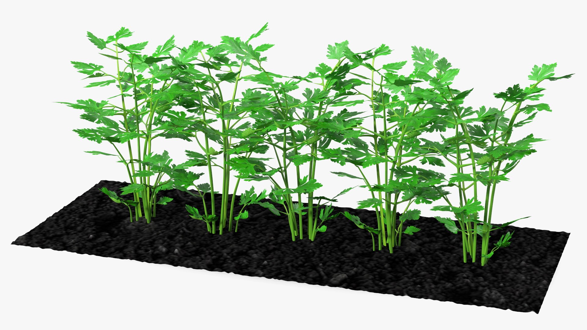 3D Garden Greenhouse with Grows Collection 4 model https://p.turbosquid.com/ts-thumb/Ps/xiWCaK/4r/gardengreenhousewithgrowscollection43dsmodel025/jpg/1677732236/1920x1080/fit_q87/728b7c40ff3d6fb1ff07f5613a888b34b4192abe/gardengreenhousewithgrowscollection43dsmodel025.jpg