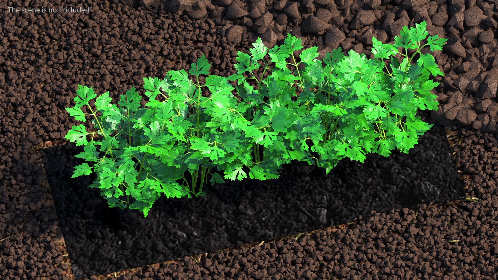 3D Garden Greenhouse with Grows Collection 4 model https://p.turbosquid.com/ts-thumb/Ps/xiWCaK/4v/gardengreenhousewithgrowscollection43dsmodel018/jpg/1677732215/1920x1080/fit_q87/0590983b0a1c21d3a290f2cc54ceecacb82cf31c/gardengreenhousewithgrowscollection43dsmodel018.jpg