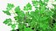 Estufa de jardim com coleção Grows 4