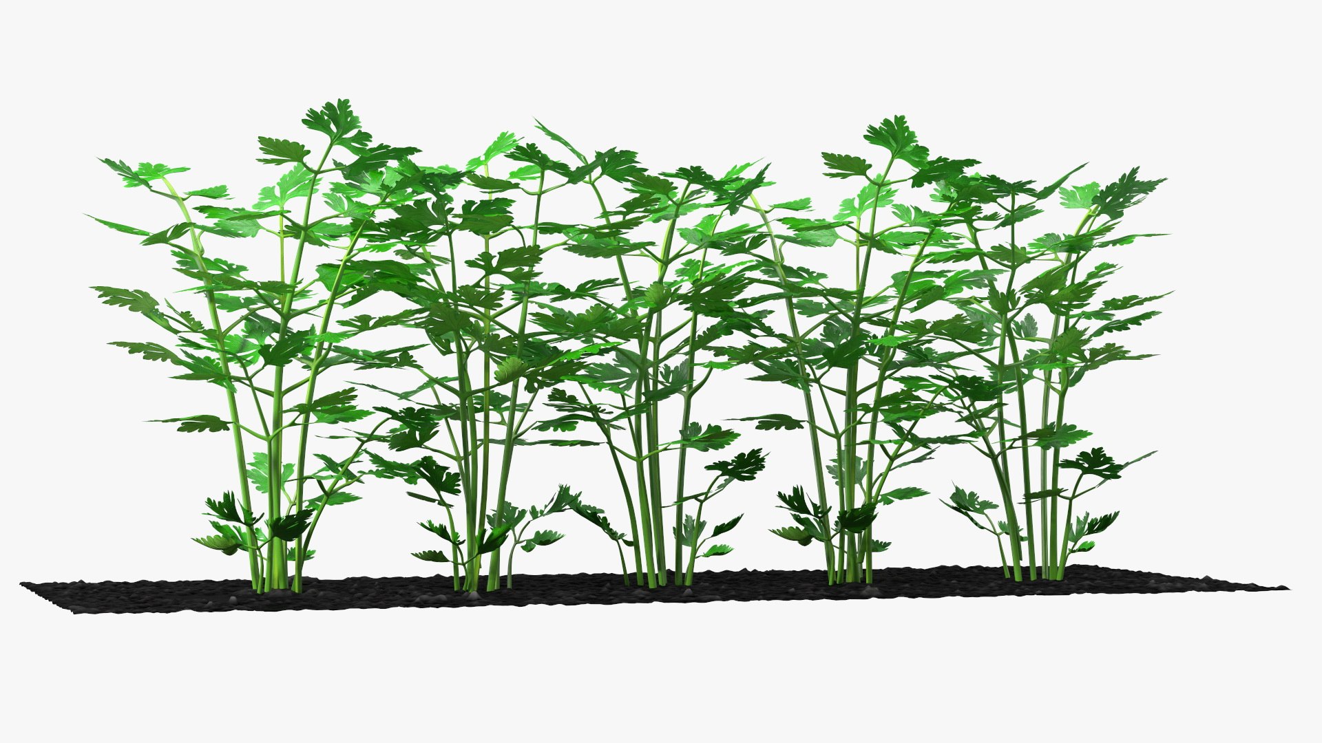 3D Garden Greenhouse with Grows Collection 4 model https://p.turbosquid.com/ts-thumb/Ps/xiWCaK/9Q/gardengreenhousewithgrowscollection43dsmodel027/jpg/1677732242/1920x1080/fit_q87/5d59fe804dfb39f71678245ef96c6d3ec02d6cdc/gardengreenhousewithgrowscollection43dsmodel027.jpg