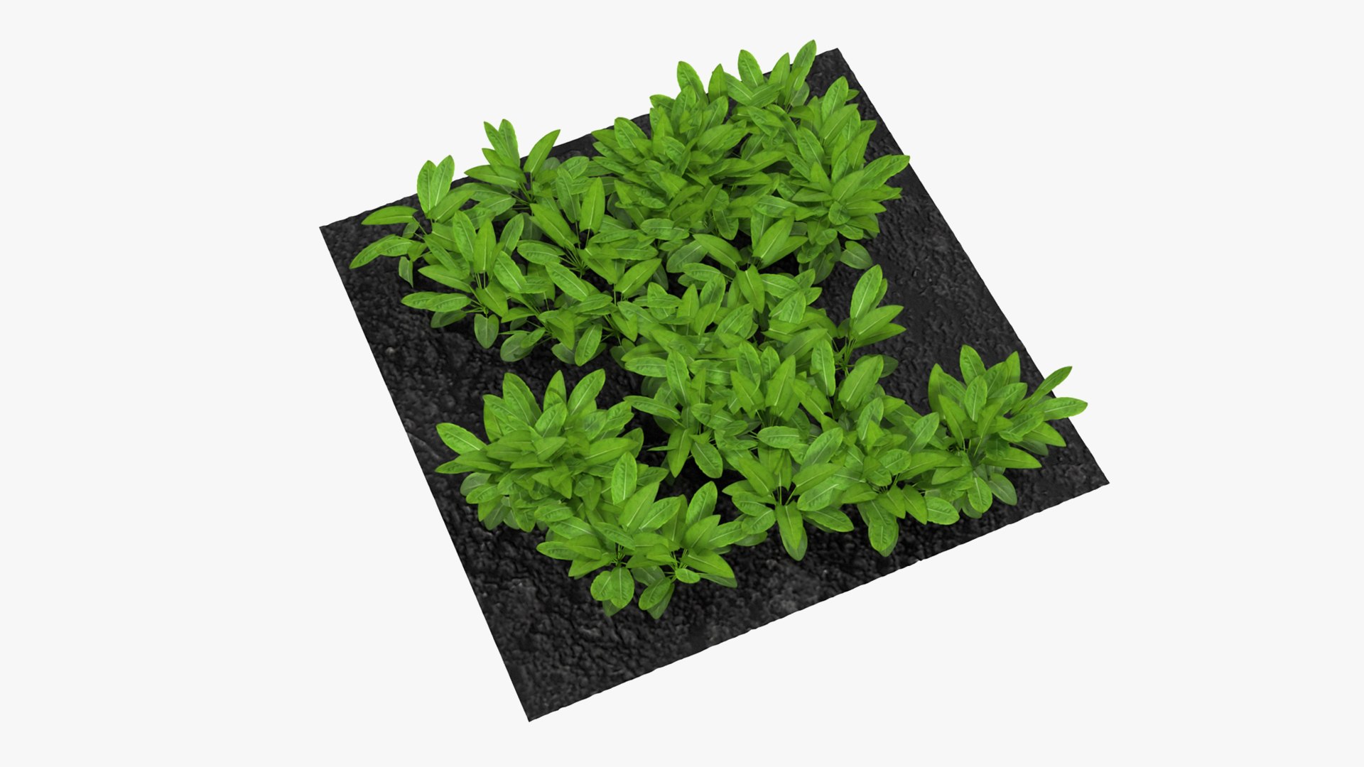 3D Garden Greenhouse with Grows Collection 4 model https://p.turbosquid.com/ts-thumb/Ps/xiWCaK/BJ/gardengreenhousewithgrowscollection43dsmodel061/jpg/1677732348/1920x1080/fit_q87/33532f328c806918c918dfaca7630f00021ff335/gardengreenhousewithgrowscollection43dsmodel061.jpg