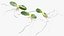 Estufa de jardim com coleção Grows 4