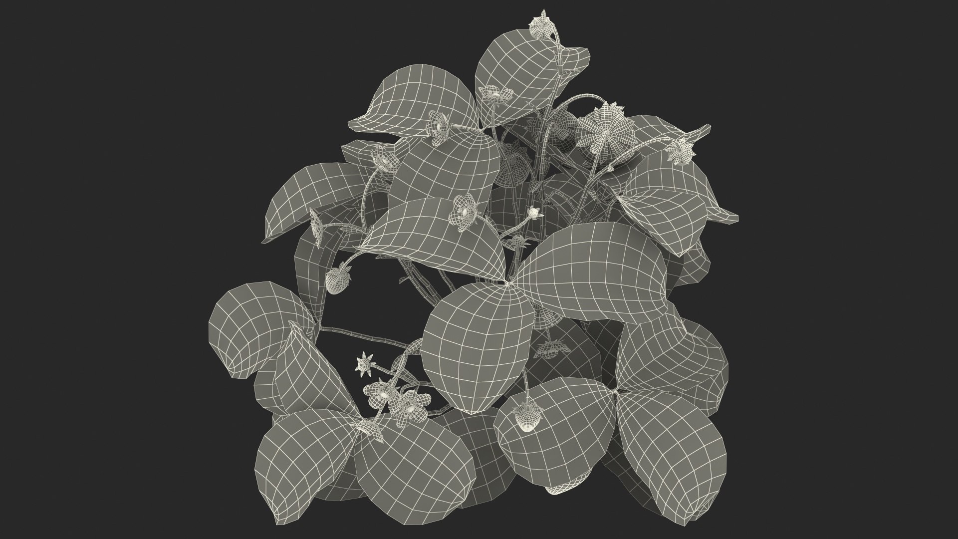 3D Garden Greenhouse with Grows Collection 4 model https://p.turbosquid.com/ts-thumb/Ps/xiWCaK/Ff/gardengreenhousewithgrowscollection43dsmodel068/jpg/1677732370/1920x1080/fit_q87/50c8e90910ea9d1395ee1193e25a4ea173d5c787/gardengreenhousewithgrowscollection43dsmodel068.jpg