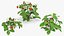 Estufa de jardim com coleção Grows 4