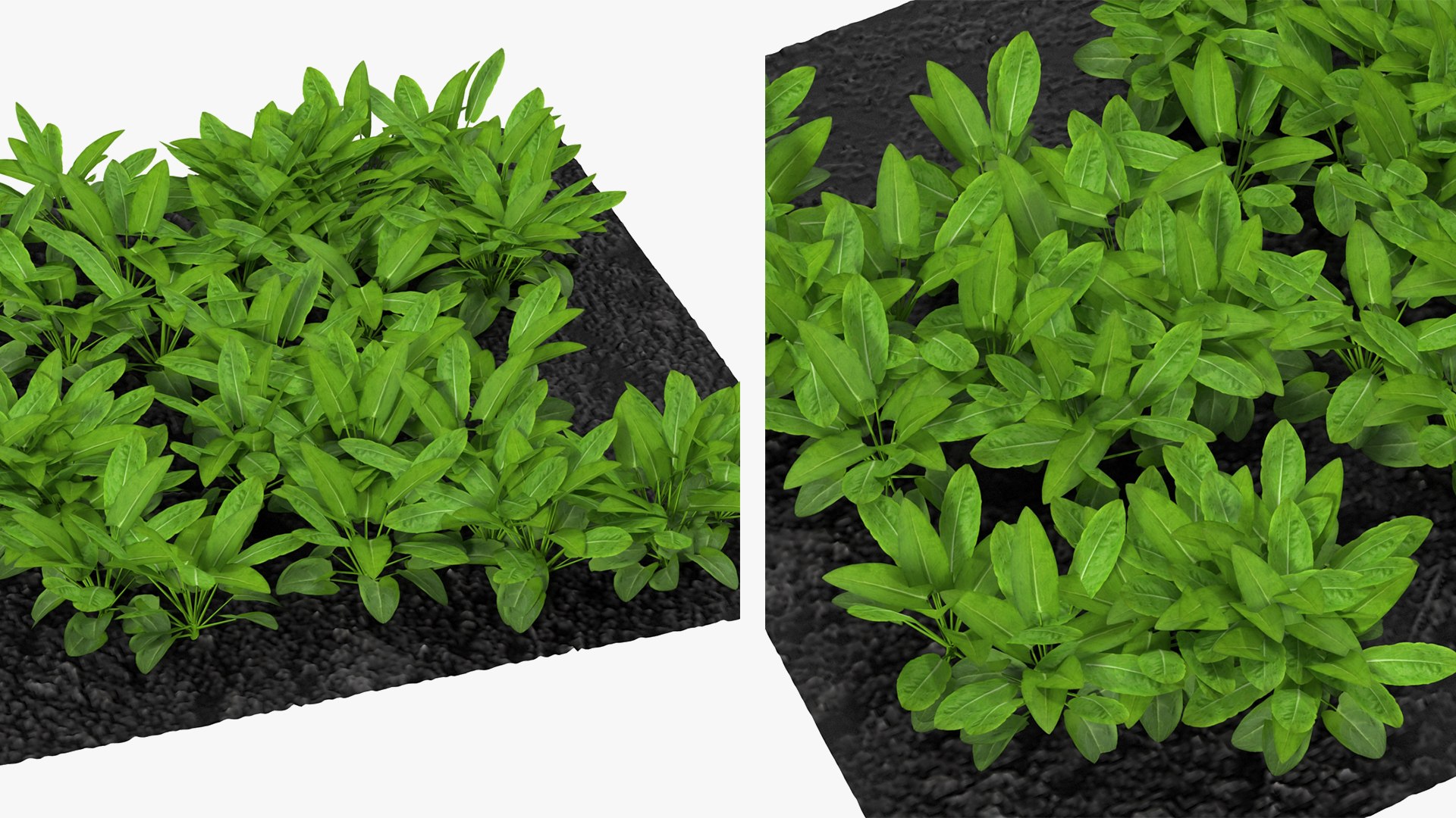 3D Garden Greenhouse with Grows Collection 4 model https://p.turbosquid.com/ts-thumb/Ps/xiWCaK/OA/gardengreenhousewithgrowscollection43dsmodel062/jpg/1677732352/1920x1080/fit_q87/a51a34117381216eac6f2fe480655d2fe39dabc8/gardengreenhousewithgrowscollection43dsmodel062.jpg