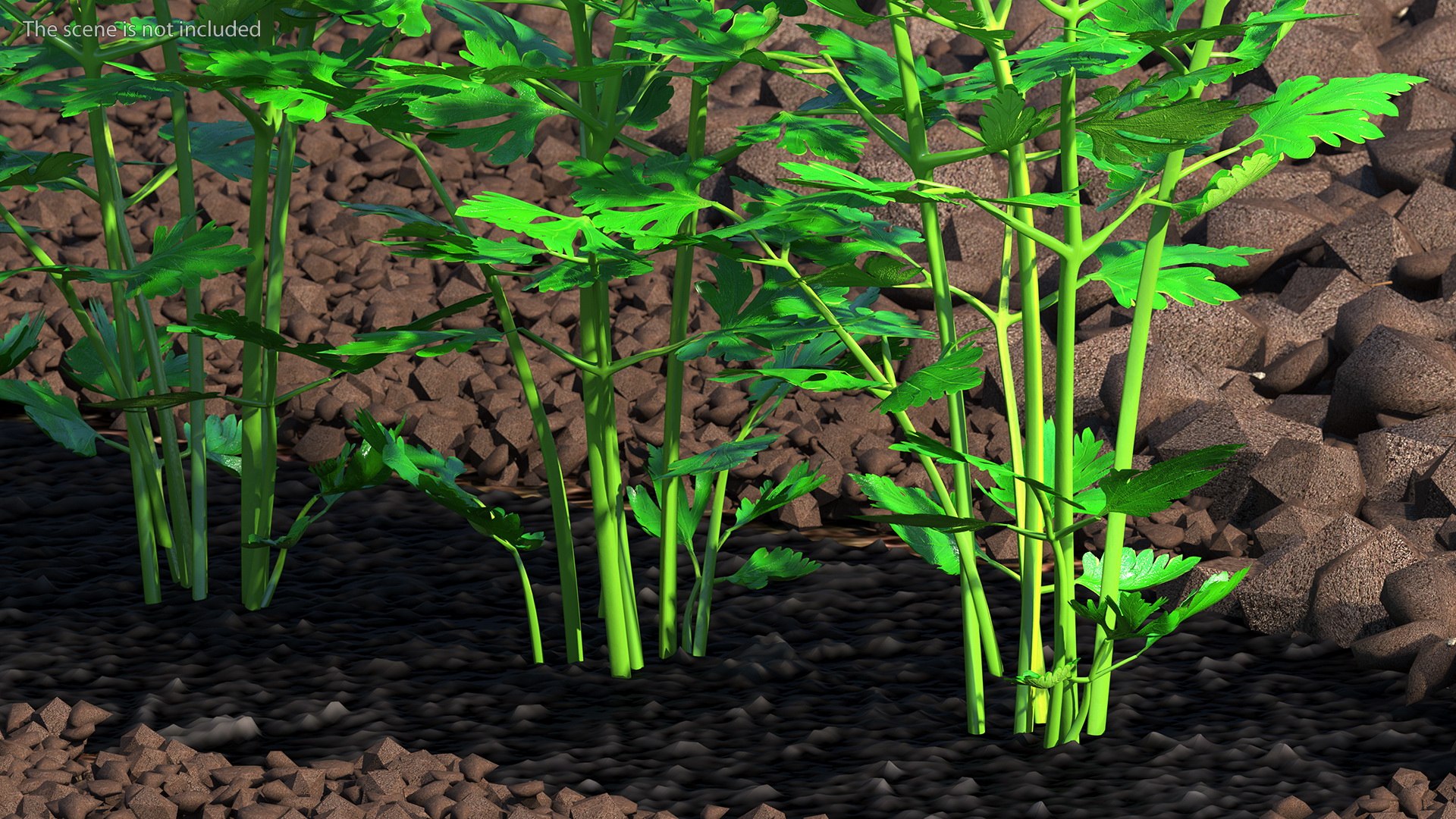 3D Garden Greenhouse with Grows Collection 4 model https://p.turbosquid.com/ts-thumb/Ps/xiWCaK/OM/gardengreenhousewithgrowscollection43dsmodel020/jpg/1677732221/1920x1080/fit_q87/8dba8f2b4edcdeb5b2d41e22ff356901a1136e8a/gardengreenhousewithgrowscollection43dsmodel020.jpg