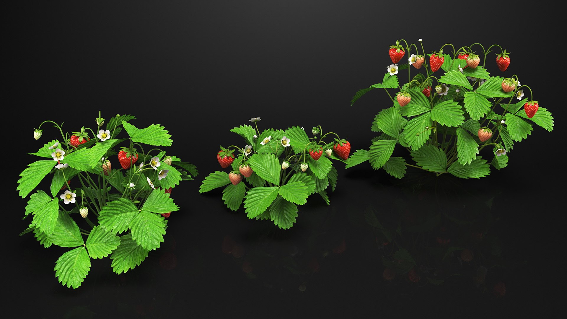 3D Garden Greenhouse with Grows Collection 4 model https://p.turbosquid.com/ts-thumb/Ps/xiWCaK/Pu/gardengreenhousewithgrowscollection43dsmodel008/jpg/1677732185/1920x1080/fit_q87/19a0cba5f4ed112206c1cb496aef0fd90f94d75a/gardengreenhousewithgrowscollection43dsmodel008.jpg