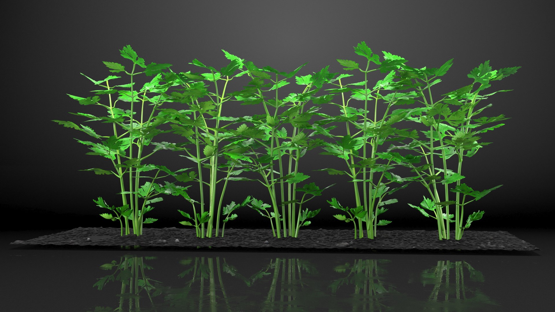 3D Garden Greenhouse with Grows Collection 4 model https://p.turbosquid.com/ts-thumb/Ps/xiWCaK/QK/gardengreenhousewithgrowscollection43dsmodel022/jpg/1677732227/1920x1080/fit_q87/9d3da2a7fae8b682813fb85a2768014fde2d2641/gardengreenhousewithgrowscollection43dsmodel022.jpg