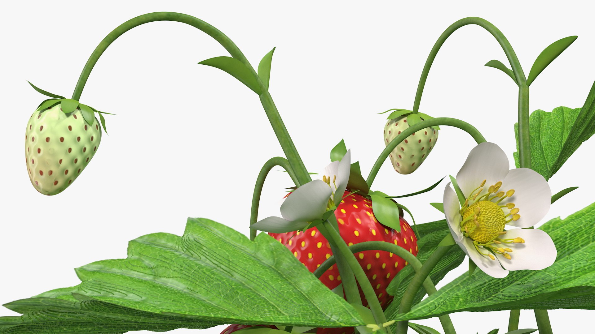 3D Garden Greenhouse with Grows Collection 4 model https://p.turbosquid.com/ts-thumb/Ps/xiWCaK/T5/gardengreenhousewithgrowscollection43dsmodel016/jpg/1677732209/1920x1080/fit_q87/1151603df657a8f11b94272475aa73854b9ee8f2/gardengreenhousewithgrowscollection43dsmodel016.jpg