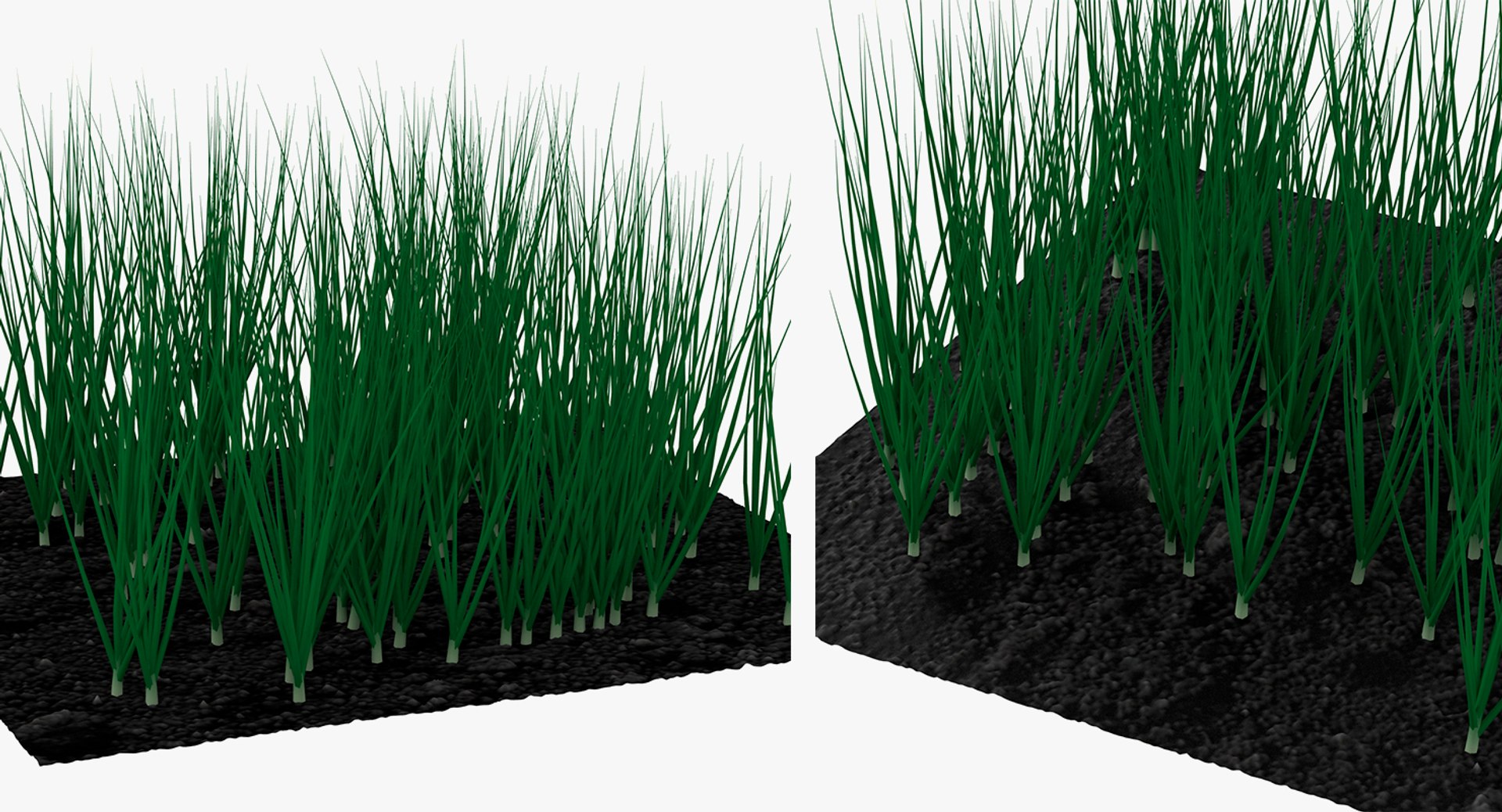 3D Garden Greenhouse with Grows Collection 4 model https://p.turbosquid.com/ts-thumb/Ps/xiWCaK/Z8/gardengreenhousewithgrowscollection43dsmodel033/jpg/1677732261/1920x1080/fit_q87/dc99b0b6429fc7388ea2af18cb986868cf10cec1/gardengreenhousewithgrowscollection43dsmodel033.jpg