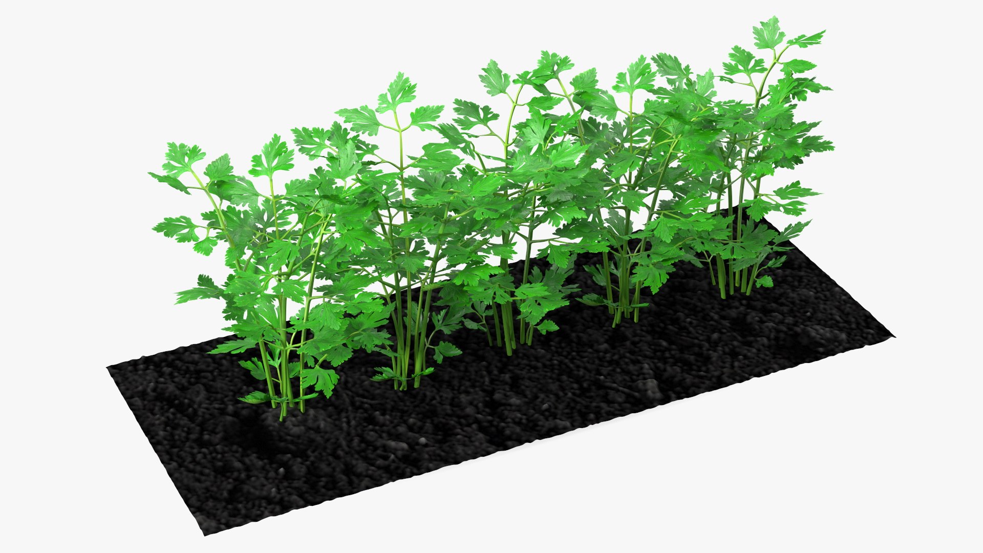 3D Garden Greenhouse with Grows Collection 4 model https://p.turbosquid.com/ts-thumb/Ps/xiWCaK/a2/gardengreenhousewithgrowscollection43dsmodel024/jpg/1677732233/1920x1080/fit_q87/97ab13c00fbff07802981cfeb8e6722c353f17ea/gardengreenhousewithgrowscollection43dsmodel024.jpg