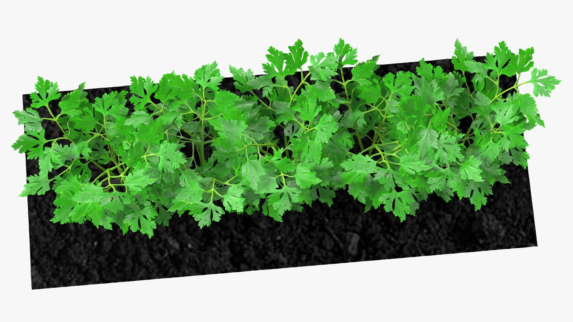 3D Garden Greenhouse with Grows Collection 4 model https://p.turbosquid.com/ts-thumb/Ps/xiWCaK/fp/gardengreenhousewithgrowscollection43dsmodel026/jpg/1677732239/1920x1080/fit_q87/13c8d9cb21739668fe0e9fe7ea46ddd0b71007e0/gardengreenhousewithgrowscollection43dsmodel026.jpg