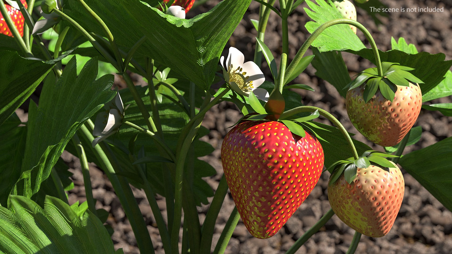 3D Garden Greenhouse with Grows Collection 4 model https://p.turbosquid.com/ts-thumb/Ps/xiWCaK/ib/gardengreenhousewithgrowscollection43dsmodel007/jpg/1677732182/1920x1080/fit_q87/1961ebbe81382b169470894462f072aa6df987b1/gardengreenhousewithgrowscollection43dsmodel007.jpg