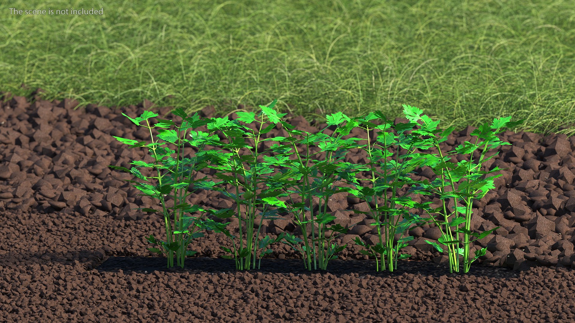 3D Garden Greenhouse with Grows Collection 4 model https://p.turbosquid.com/ts-thumb/Ps/xiWCaK/kF/gardengreenhousewithgrowscollection43dsmodel017/jpg/1677732212/1920x1080/fit_q87/98d8af39dc491fdc542947c0d749f181183363d7/gardengreenhousewithgrowscollection43dsmodel017.jpg