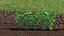 Estufa de jardim com coleção Grows 4