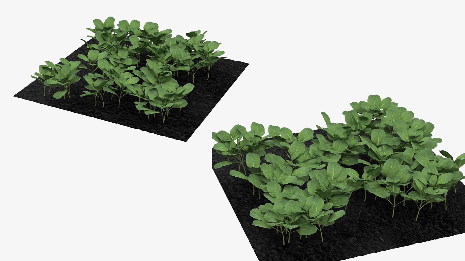 3D Garden Greenhouse with Grows Collection 4 model https://p.turbosquid.com/ts-thumb/Ps/xiWCaK/lM/gardengreenhousewithgrowscollection43dsmodel065/jpg/1677732361/1920x1080/fit_q87/6a9d4c0c7f5672b51a4ac108b71903deda18b007/gardengreenhousewithgrowscollection43dsmodel065.jpg