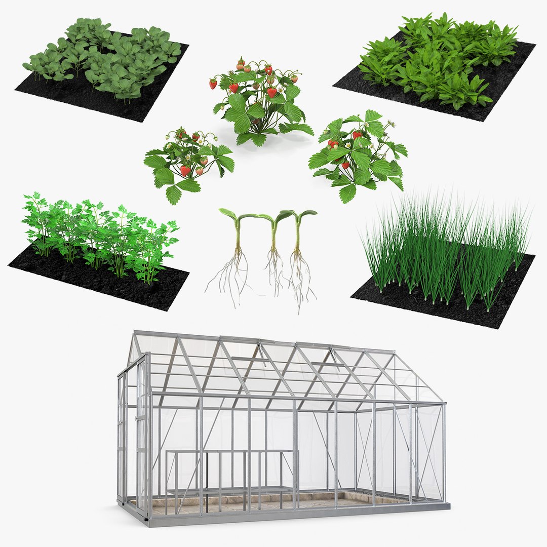 Garden Greenhouse with Grows Collection 4 3D model preview
