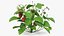 Estufa de jardim com coleção Grows 4
