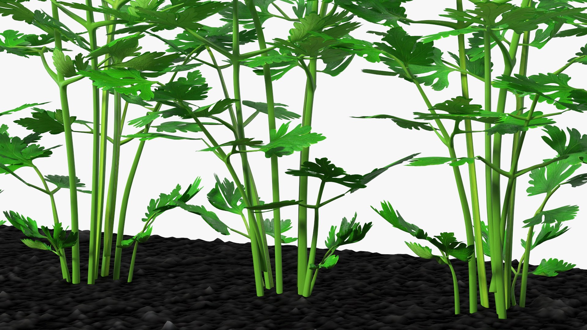 3D Garden Greenhouse with Grows Collection 4 model https://p.turbosquid.com/ts-thumb/Ps/xiWCaK/sW/gardengreenhousewithgrowscollection43dsmodel030/jpg/1677732251/1920x1080/fit_q87/7dcd29a025ca328b0c768dfa1fb4988971b31f9c/gardengreenhousewithgrowscollection43dsmodel030.jpg