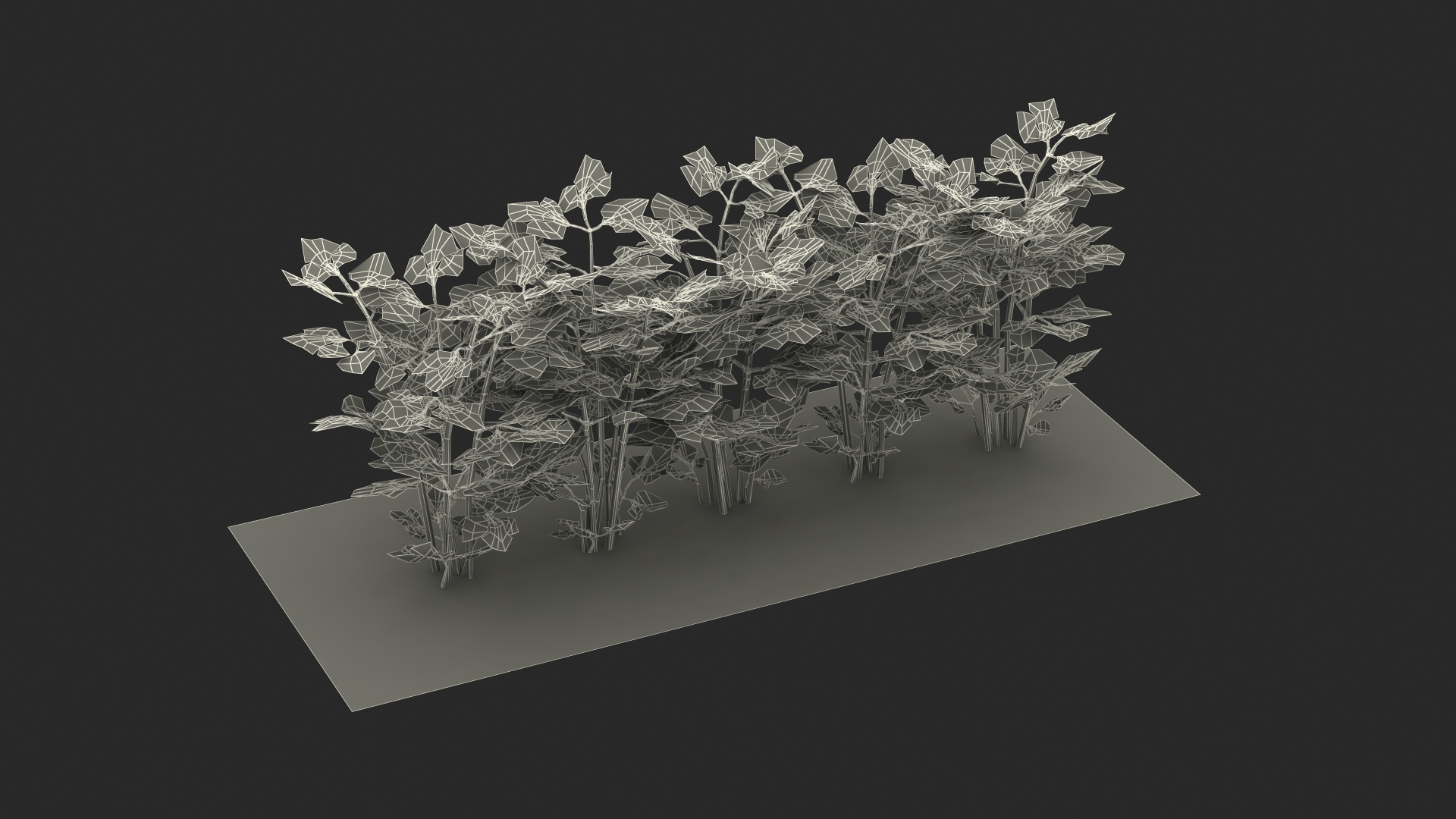 3D Garden Greenhouse with Grows Collection 4 model https://p.turbosquid.com/ts-thumb/Ps/xiWCaK/tW/parsley_grows_in_row_361/jpg/1677732028/1920x1080/turn_fit_q99/c573dd9c37e6b4de74f17a330ef20ba65073e978/parsley_grows_in_row_361-1.jpg