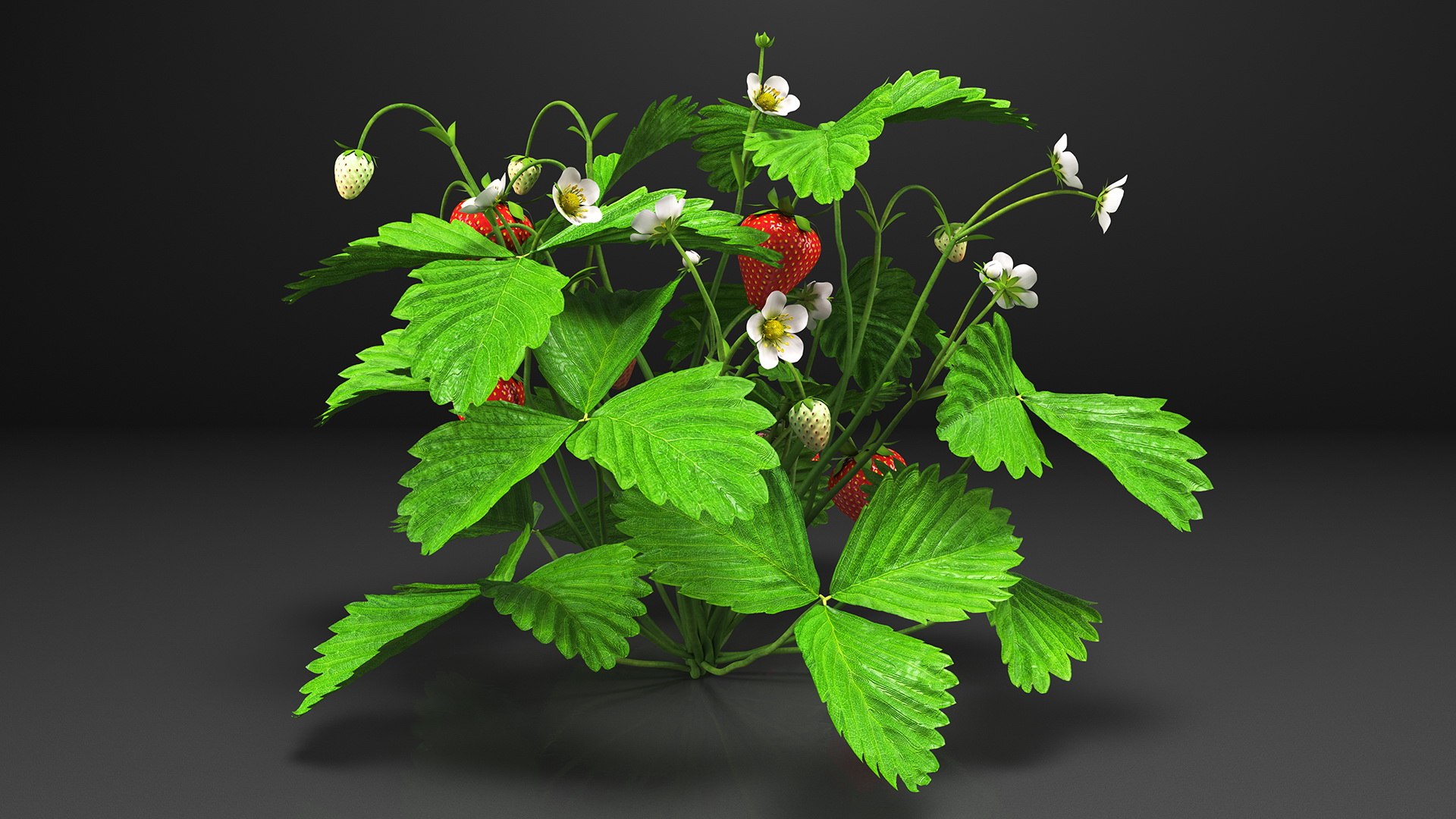 3D Garden Greenhouse with Grows Collection 4 model https://p.turbosquid.com/ts-thumb/Ps/xiWCaK/u4/gardengreenhousewithgrowscollection43dsmodel010/jpg/1677732191/1920x1080/fit_q87/3cfab7d33001bafc6c1866e541ae9f5c363d9114/gardengreenhousewithgrowscollection43dsmodel010.jpg