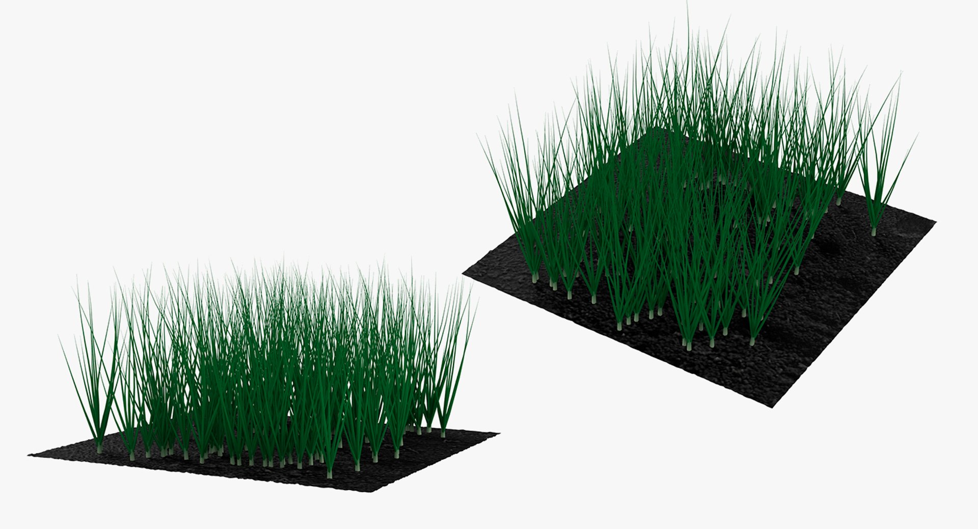 3D Garden Greenhouse with Grows Collection 4 model https://p.turbosquid.com/ts-thumb/Ps/xiWCaK/xp/gardengreenhousewithgrowscollection43dsmodel032/jpg/1677732258/1920x1080/fit_q87/f7ddc1c29b909e58f7da1686a1c6d2d4577b2c08/gardengreenhousewithgrowscollection43dsmodel032.jpg