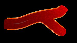 Small Branching Blood Vessel