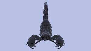 3D emperor scorpion