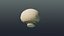 Champignon cartone animato