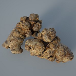 SCAN-Traditional Chinese Medicine-Sanchi
