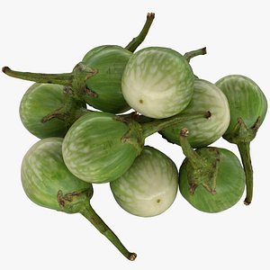 3D Round Green Eggplant 01 Pile